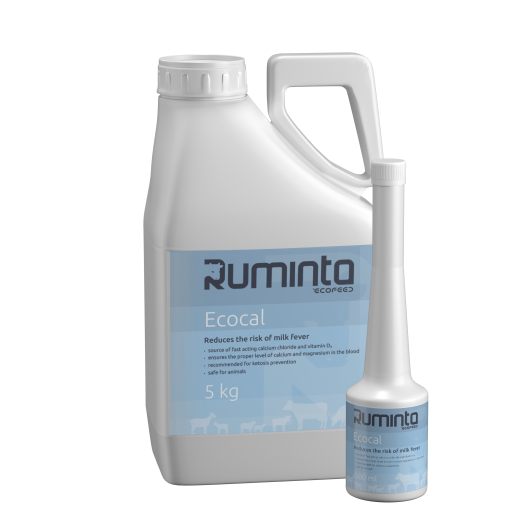 Ruminta Wlewka Wapń Magnez dla Krów/Owiec/Kóz Ecocal